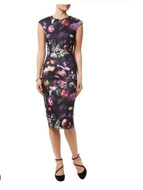 Ted Baker floral "Raisie" midi sheath dress Sz 2